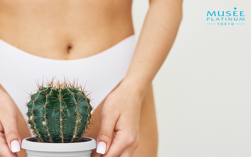 Woman holding a cactus symbolizing rough private area hair