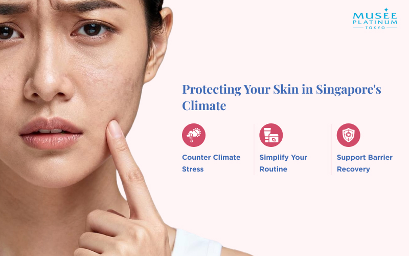 close up of a dry skin barrier struggling with flakiness